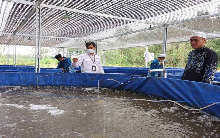 Ini Harapan UPT BPBAT Mandiangin Kepada Ponpes di Kapuas Penerima Bantuan Sarpras Budidaya Bioflok