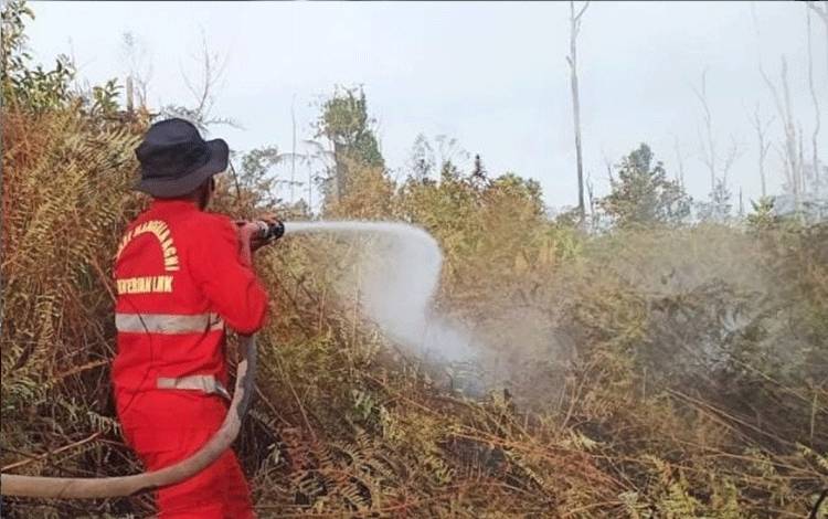 Modifikasi Cuaca dan Water Bombing Diusulkan untuk Atasi Karhutla Kalteng
