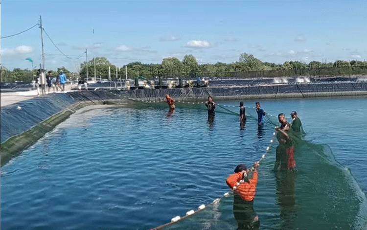 Pengembangan Shrimp Estate Perlu Memperhatikan Aspek Lingkungan