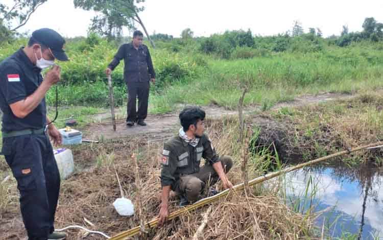 Beberapa Ekor Buaya Tampakkan Diri di Sungai Biding Bagendang, BKSDA Langsung Pasang Pancing