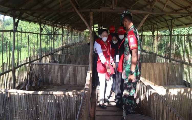 Babinsa Barimba Lakukan Pendampingan Mahasiswa KKN Kebangsaan Sambangi Peternak Bebek