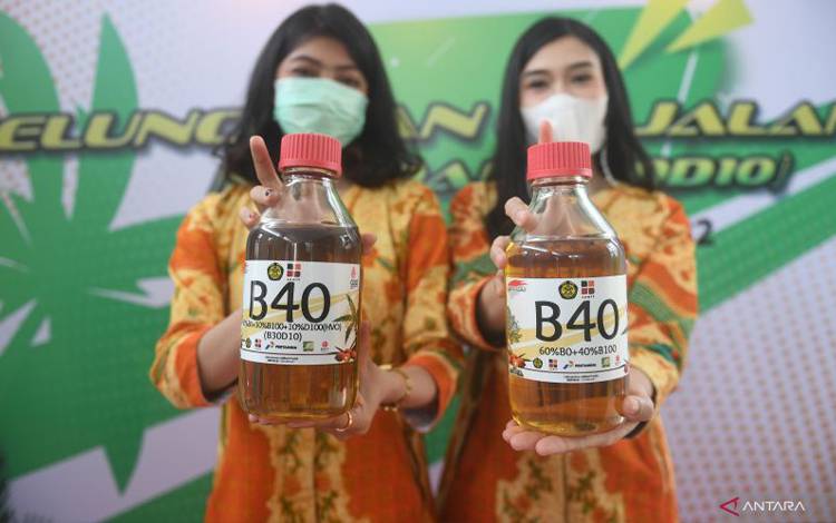 Indonesia Manfaatkan Sawit dan Kemiri untuk Reduksi Energi Fosil