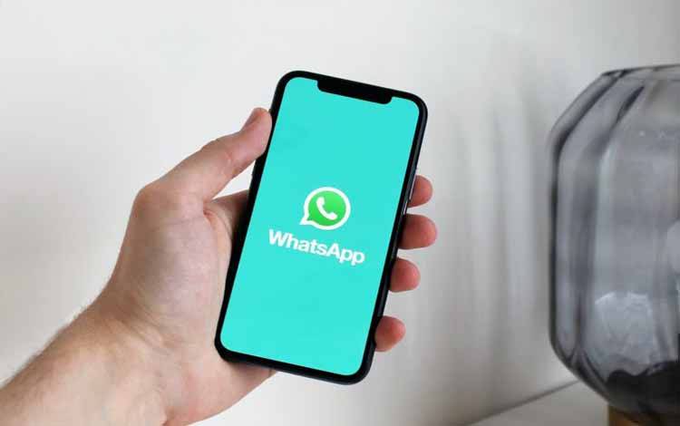 Fitur Reaksi Status Meluncur ke Beberapa Pengguna WhatsApp Beta