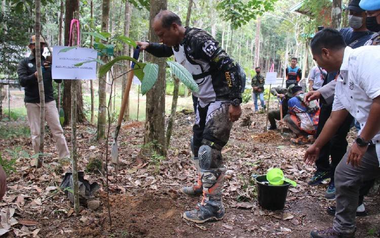 Ini Maksud Digelarnya Penaman Pohon di Tahura Lapak Jaru