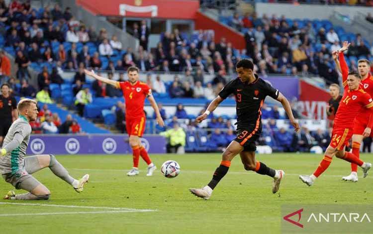 Cody Gakpo jadi Target Buruan Terbaru Manchester United