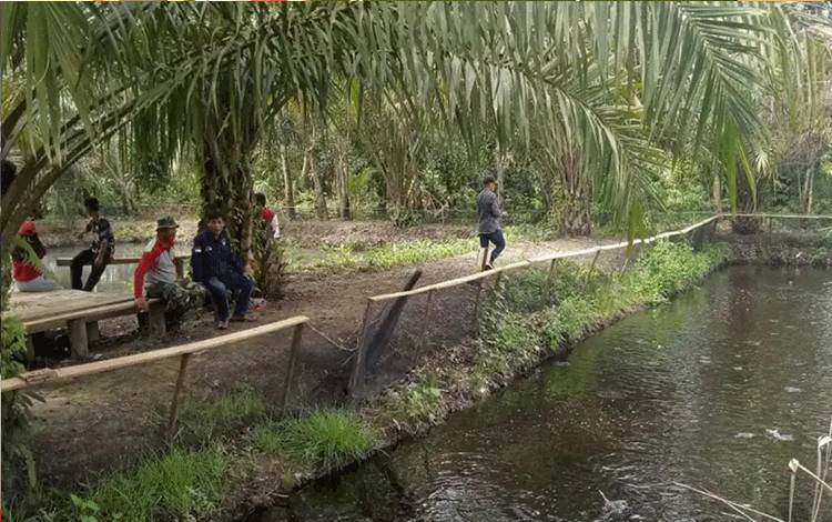 Penguatan Ketahanan Pangan, Pemdes Sidorejo Budidayakan Ikan Air Tawar
