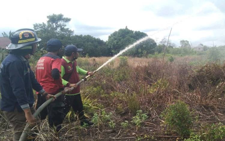 48,5 Hektare Lahan di Palangka Raya Pernah Terbakar