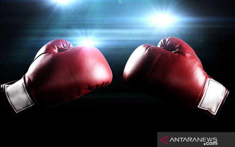Conah Walker Cetak KO Brutal untuk Pertahankan Juara Kelas Welter