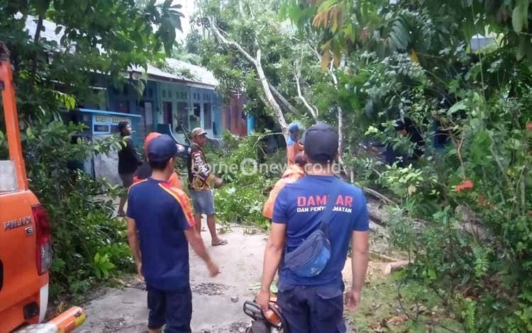 Damkar Evakuasi Pohon Tumbang Timpa Rumah Warga