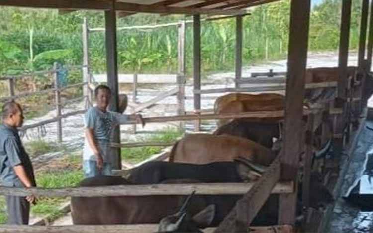 Vaksinasi PMK di Palangka Raya Tuntas Bulan Depan