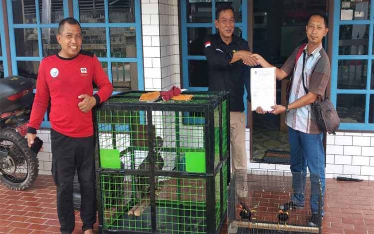 Sadar akan Hewan Dilindungi, Warga Serahkan Tiung Emas dan Elang Brontok ke BKSDA