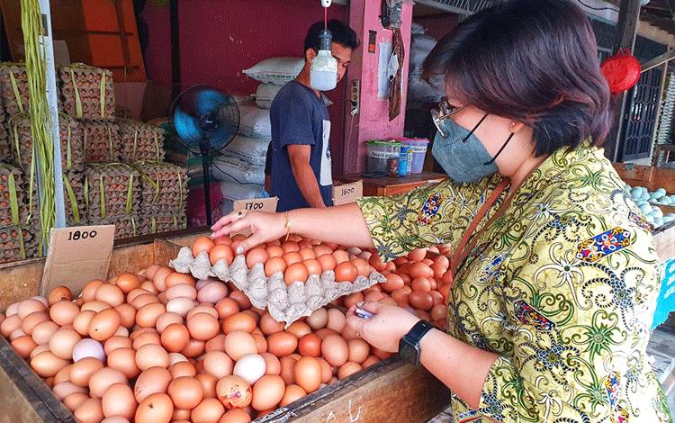 Sudah Sebulan Harga Telur Ayam Naik