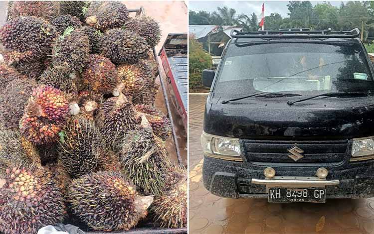 Tiga Pelaku Pencuri Sawit yang Diamankan Berawal dari Patroli?