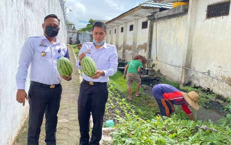Manfaatkan Lahan di Area Beranggang, Rutan Kapuas Panen Semangka