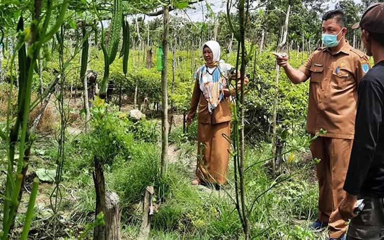 Wakil Bupati Lamandau Ajak Masyarakat Optimalkan Lahan untuk Tingkatkan Kesejahteraan