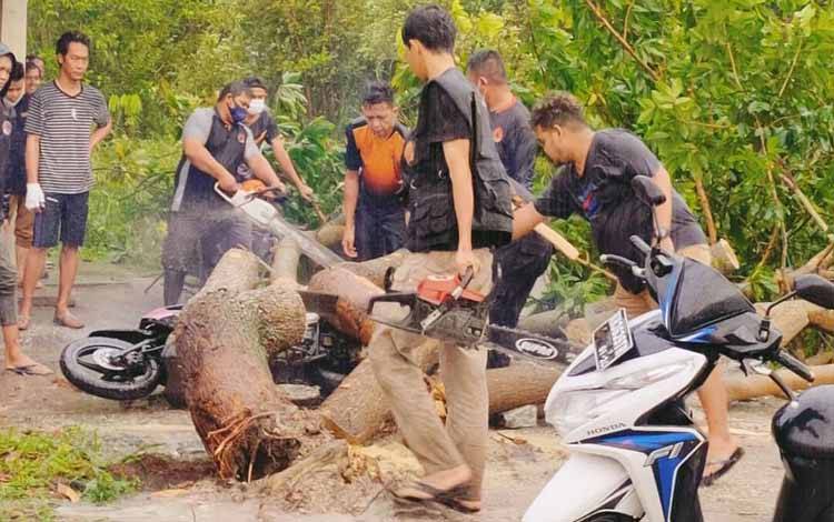 4 Sepeda Motor Tertimpa Pohon Tumbang di Palangka Raya
