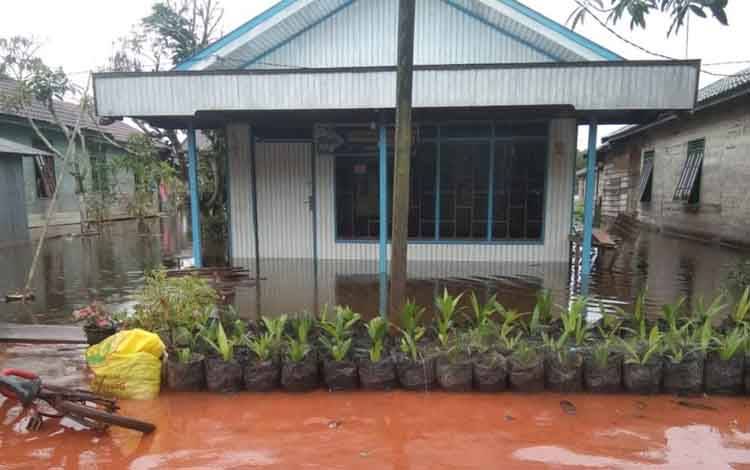 Kondisi sejumlah rumah warga di Desa Rasau Tumbuh, Kecamatan Kota Besi, Kotim yang dilanda banjir.