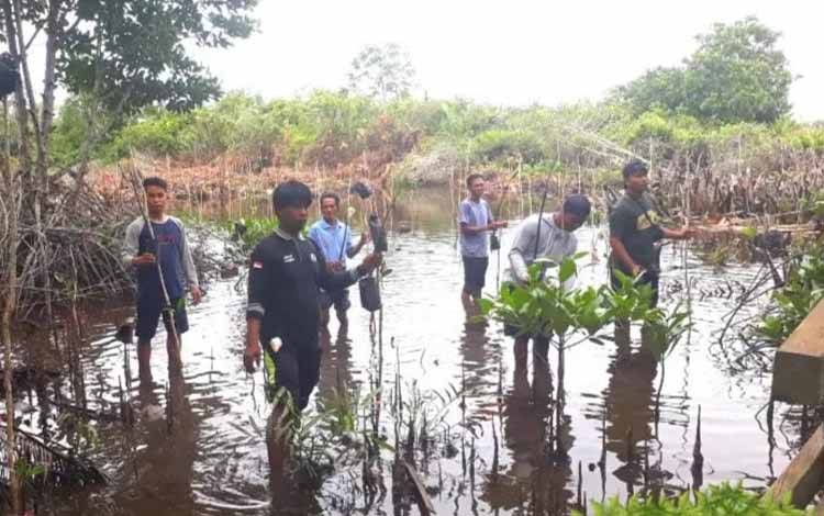 Dislutkan Kalteng Imbau Masyarakat Pesisir Jaga Hutan Mangrove