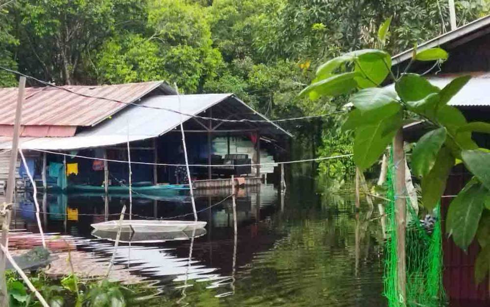 CAPTION: Rumah warga di Kelurahan Marang terendam Banjir. (FOTO: PENDIM 1016 PALANGKA RAYA)