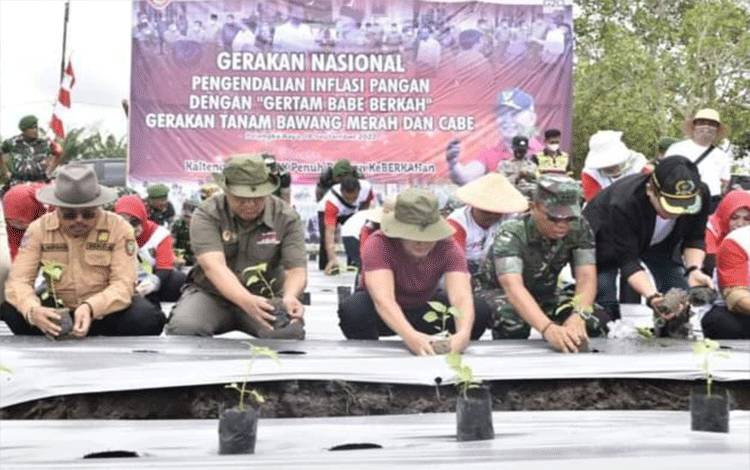 Gubernur Kalteng Pimpin Gerakan Tanam Bawang Merah dan Cabai Berkah