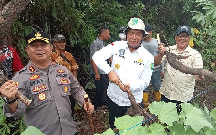 Pemkab Sukamara Lakukan Gerakan Tanam Cepat Panen Menanam Cabai