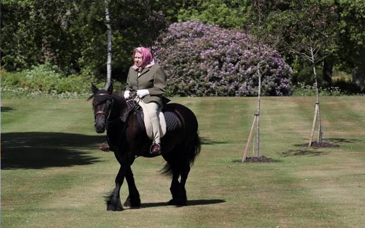 Foto arsip - Dalam foto arsip yang diambil pada 31 Mei 2020 ini Ratu Elizabeth II menunggangi kuda bernama Balmoral Fern di Windsor Home Park, London Barat. Ratu Elizabeth II wafat dalam usia 96 tahun pada 8 September 2022. (Photo by Steve Parsons / POOL / AFP) (AFP/STEVE PARSONS)