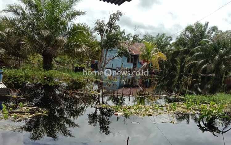 5 Kecamatan di Seruyan Berstatus Tanggap Darurat Banjir