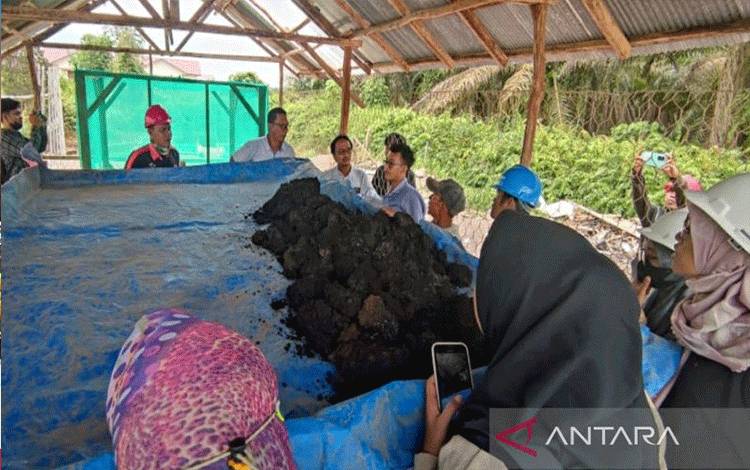 ULM Kenalkan Teknologi Biokonversi Limbah Sawit Jadi Pakan Ikan