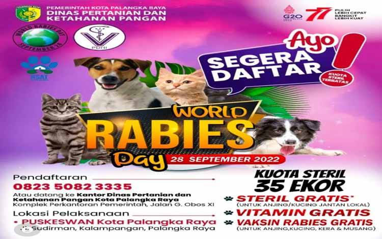 Jelang Hari Rabies Sedunia, Berbagai Program Disusun untuk Tekan Angka Rabies