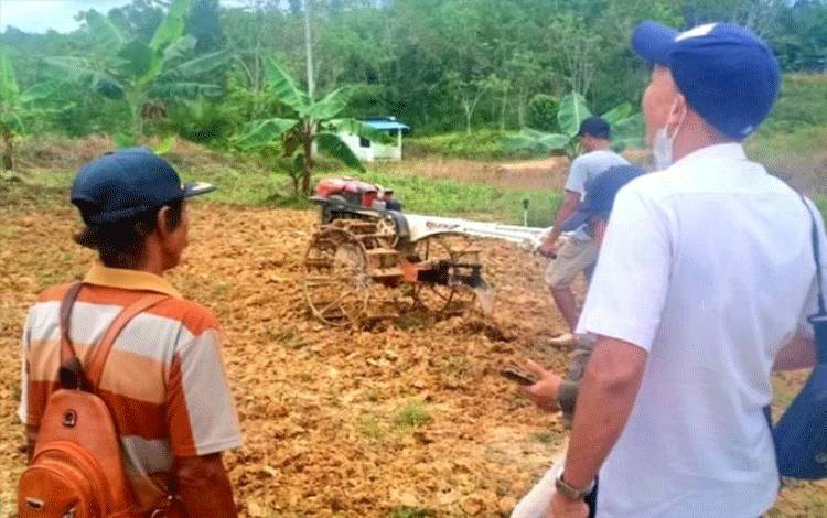 Pemkab Gumas Libatkan Petani Kembangkan Cabai Rawit Tekan Inflasi
