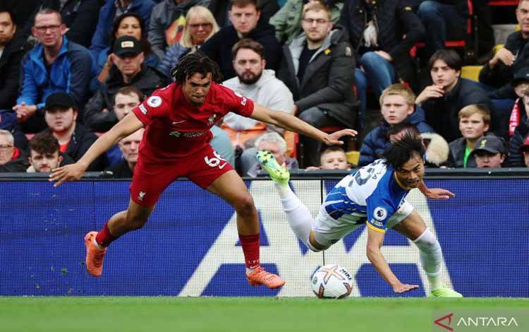 Liverpool Ditahan Imbang Brighton & Hove Albion 3-3