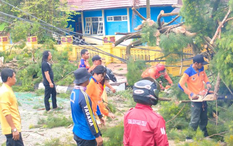 Damkar Kobar: Kewenangan Tebang Pohon Tetap Berada di DLH?