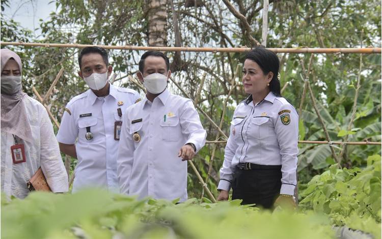 Wali Kota Palangka Raya Ajak Warga Budidaya Tanaman Hidroponik
