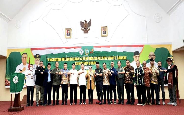 Kelayakan Usaha Pabrikasi Minyak Makan Merah Demi Maksimalkan Keunggulannya