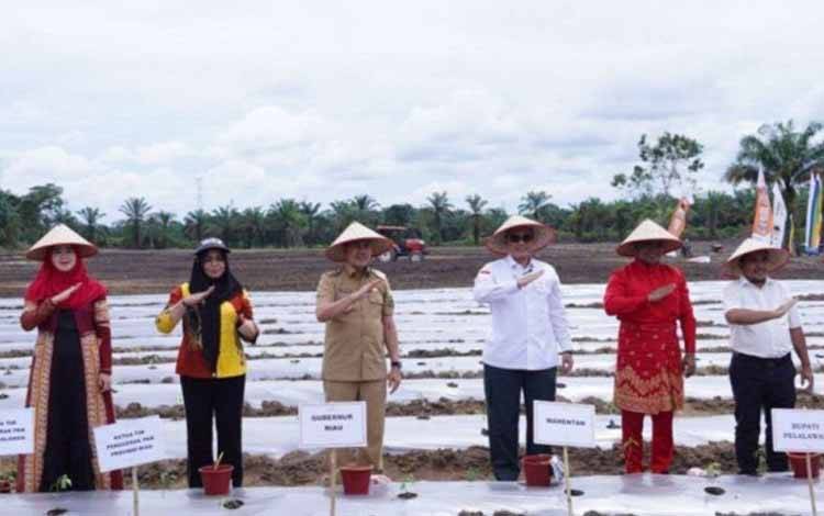 Wamentan: Prinsip Kedaulatan Pangan Memanfaatkan Ruang Sekecil Apapun