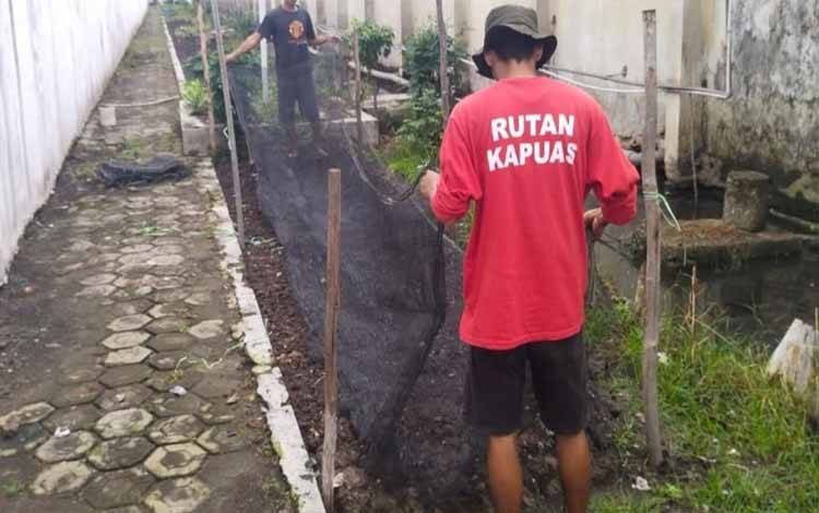 Rutan Kapuas Tingkatkan Kegiatan Kemandirian Budidaya Sawi Bagi WBP