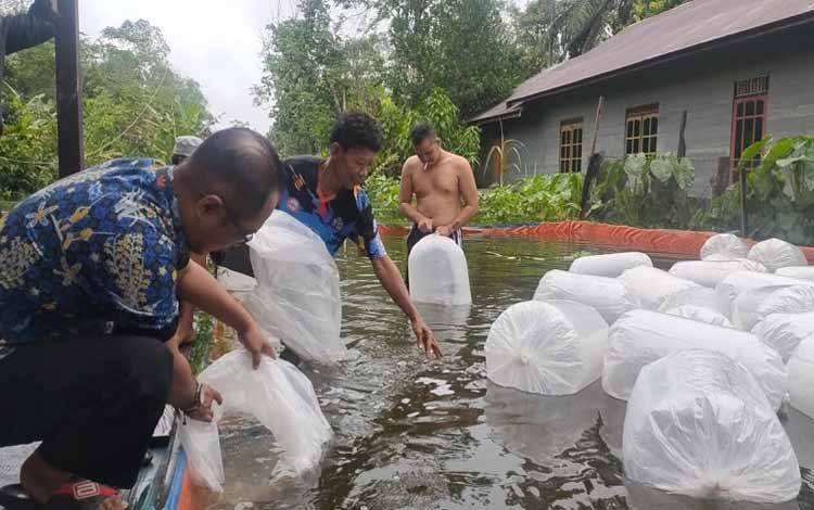 Dinas Perikanan Kotim Lestarikan Ikan Lokal dengan Budidaya Ikan Jelawat