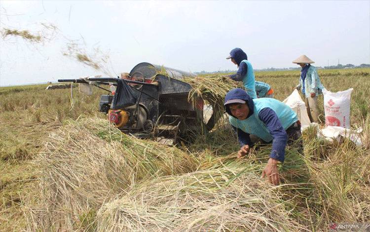 Hari Pangan Sedunia 2022 dan Upaya Membangun Kehidupan Berkualitas