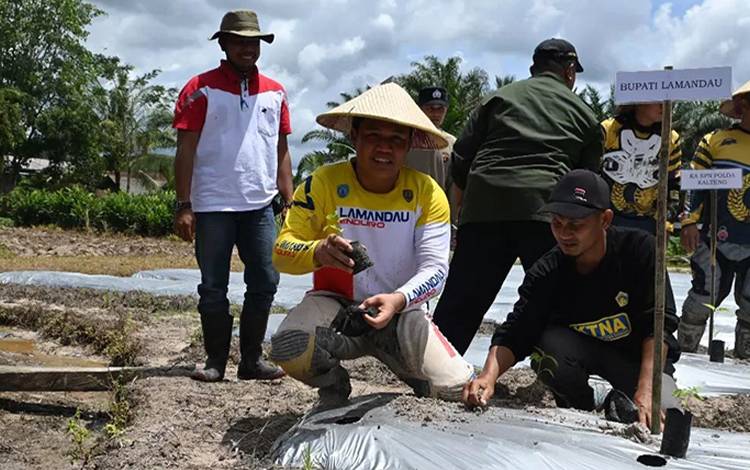 Bupati Lamandau Ingatkan Manfaatkan Lahan Kosong?