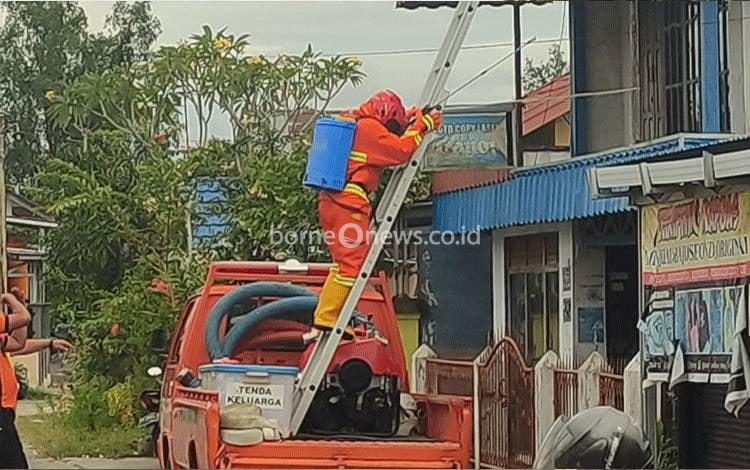 TRC BPBD Kapuas saat mengevakuasi sarang tawon di perumahan warga di Komplek Perumnas Pulau Telo, Kecamatan Selat, Selasa, 18 Oktober 2022. (BPBD KAPUAS)