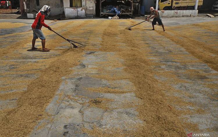 Mitigasi dan Adaptasi Perubahan Iklim untuk Mendukung Ketahanan Pangan