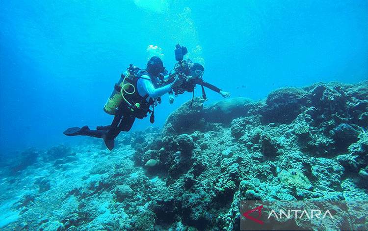 IPB: Wisata Selam Indonesia Terhalang Kerusakan Ekosistem