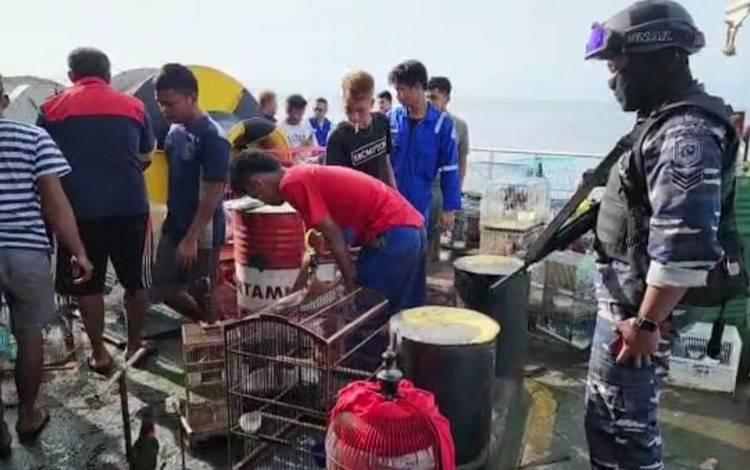 Satwa Dilindungi yang Diamankan dari Kapal MV. Vision Global Diperkirakan Bernilai Miliaran Rupiah