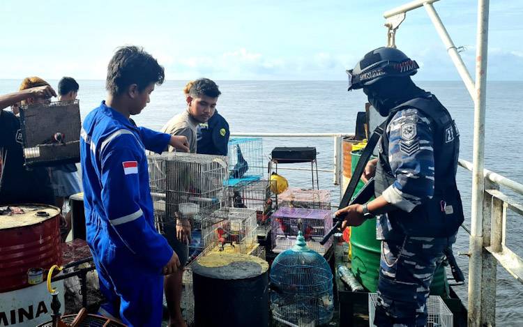 Penggagalan Pengiriman Satwa Dilindungi oleh Tim Alpha Satgas Operasi Intel Mandau L. 22 Diapresiasi Danlanal Banjarmasin