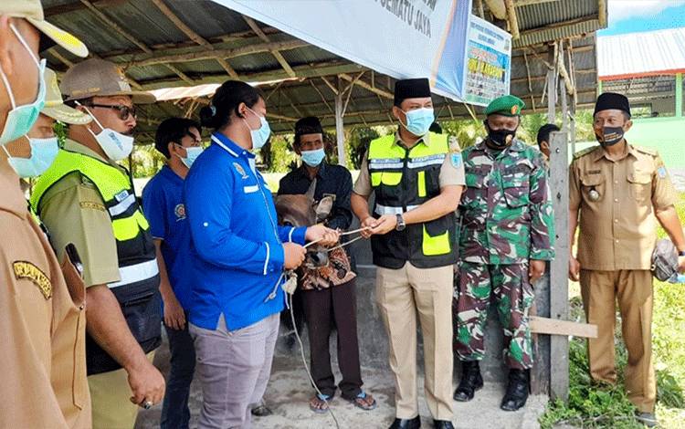 Kabupaten Lamandau Menuju Swasembada Daging