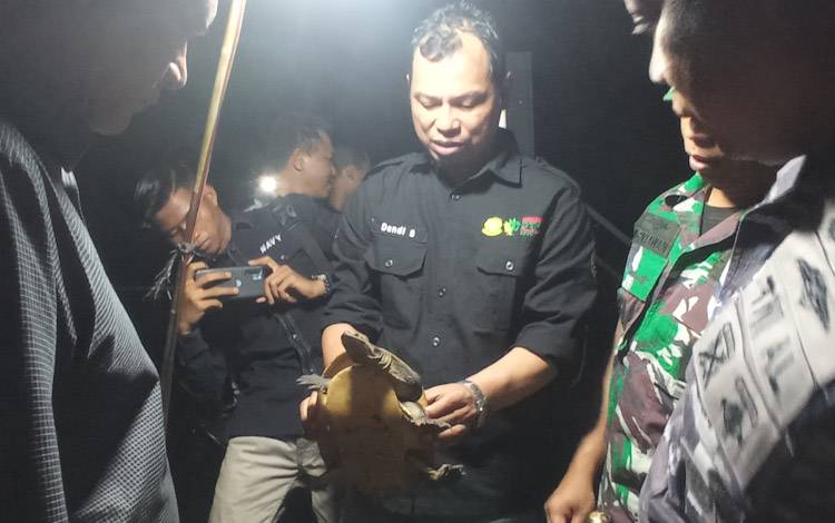 Hari Ini Awak Kapal MV. Vision Global Pembawa Satwa Illegal Diperiksa oleh Penyidik BKSDA Kalteng
