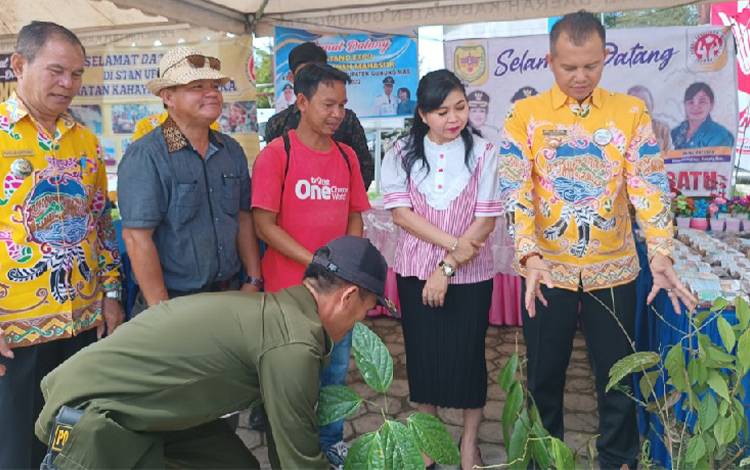 Bupati Gunung Mas Siap Bantu Pembudidayaan Tanaman Obat di Kecamatan Damang Batu
