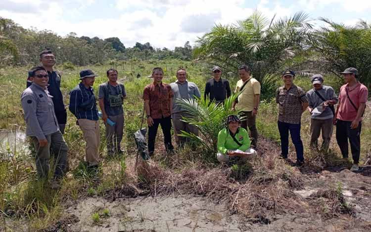 Ketua Poktan Maju Bersama, Hendra bersama anggota poktan menanam bibit sawit