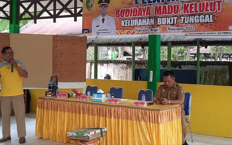 Pemko Palangka Raya Gelar Pelatihan Budi Daya Madu Kelulut