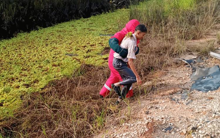 Serangan Lebah di Jalan Pahlawan Kasongan, 30 Warga Jadi Korban